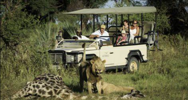 Wisata Safari Afrika