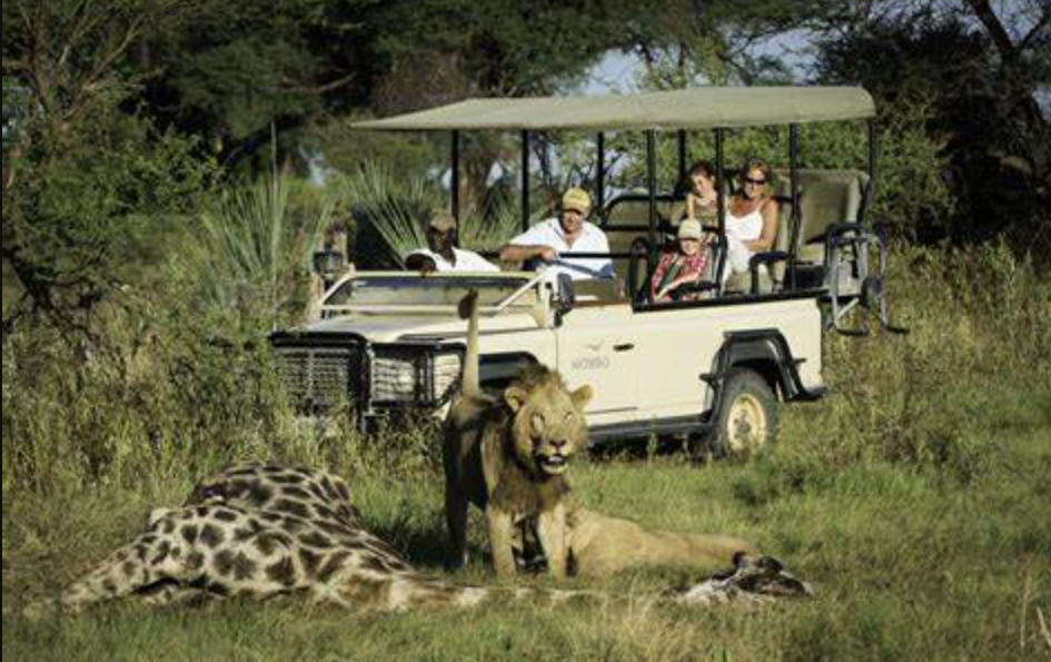 Wisata Safari Afrika